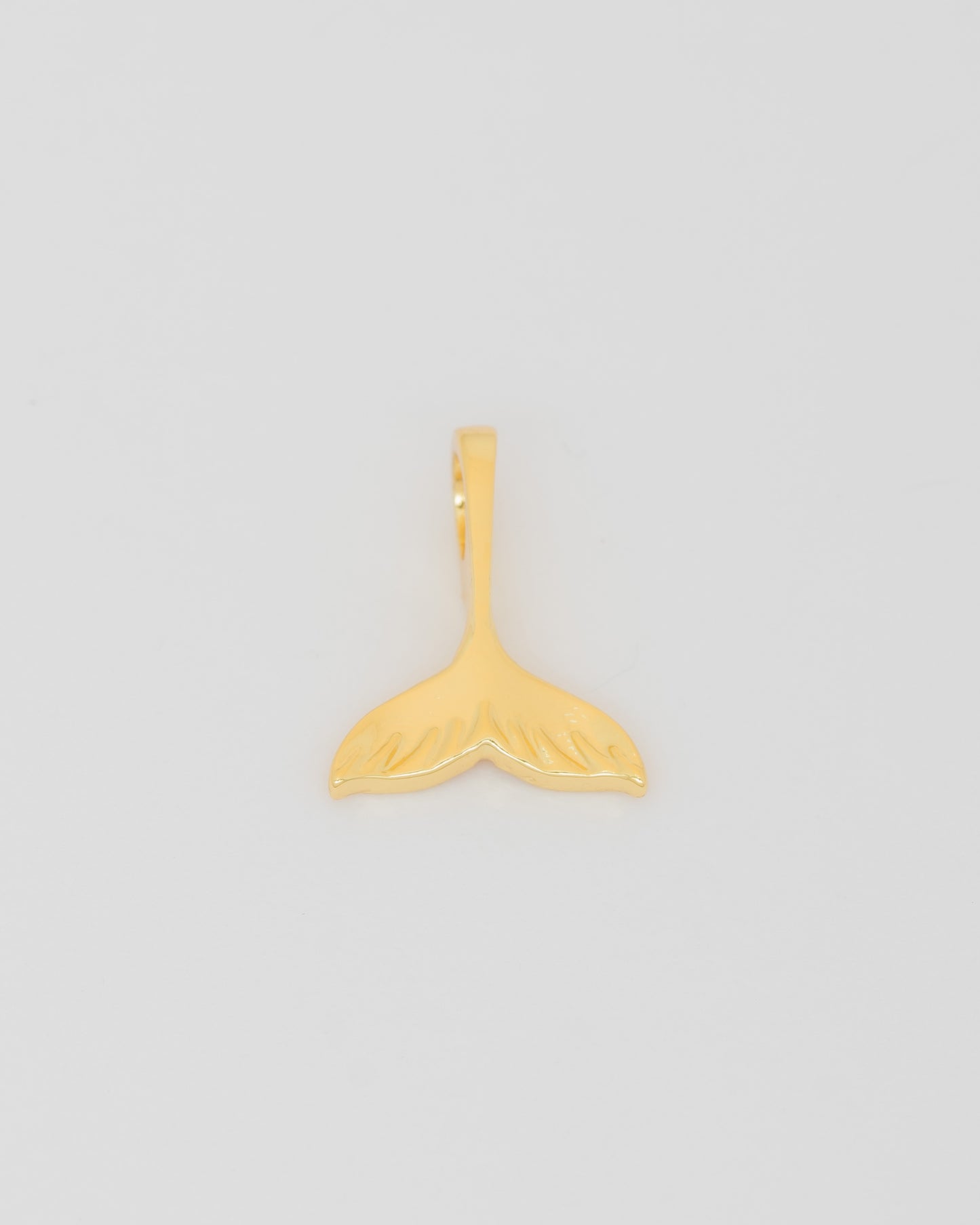 Charm para personalizar