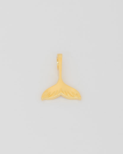 Charm para personalizar