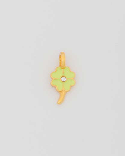Charm para personalizar