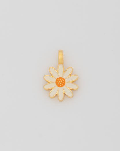 Charm para personalizar